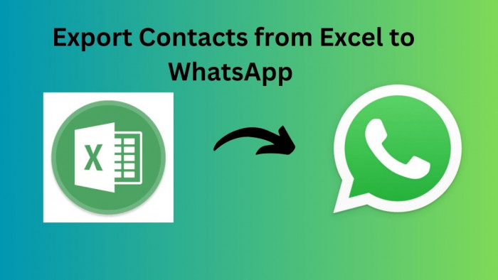 export-excel-contacts-to-whatsapp-with-step-by-step-guide