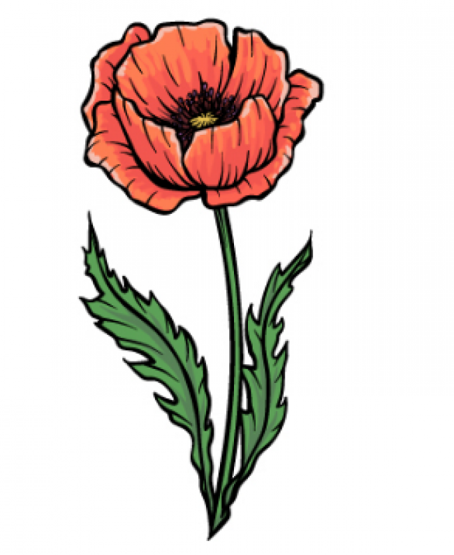 How To Draw A Poppy Allows Form! Steps